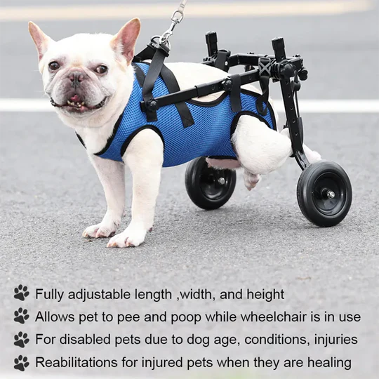 Adjustable pet mobility product: a lightweight wheelchair for dogs, aiding recovery for injured or disabled pets.