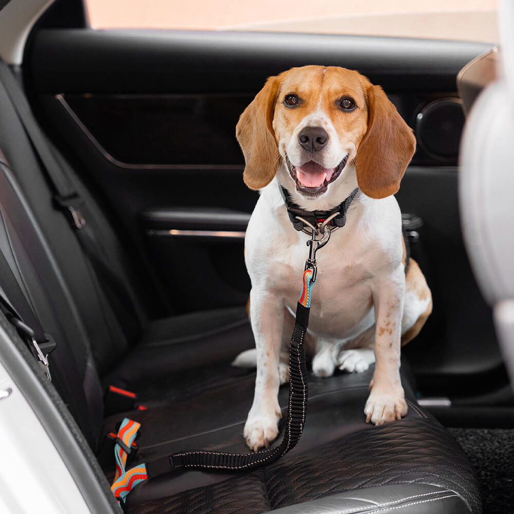 Unisex pet car seat belt, adjustable for dogs, securing them safely during car rides.