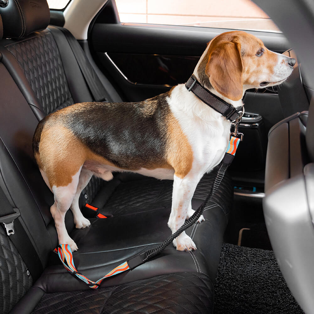 Colorful pet safety seat belt, adjustable nylon harness for dog travel, strong clip.