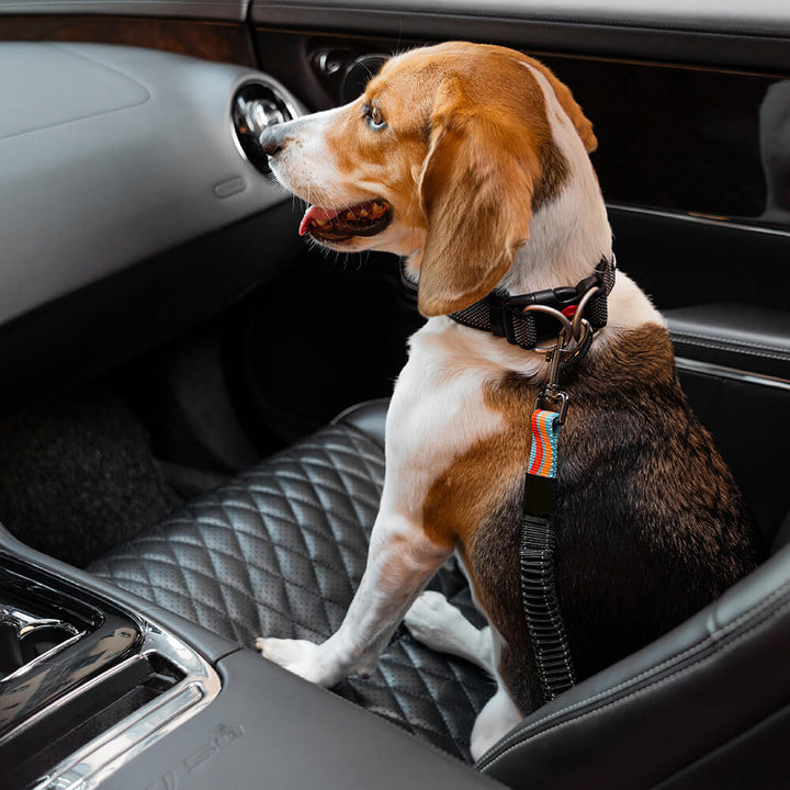 Dog car seat belt showing adjustable length, black nylon for pet safety and comfort.