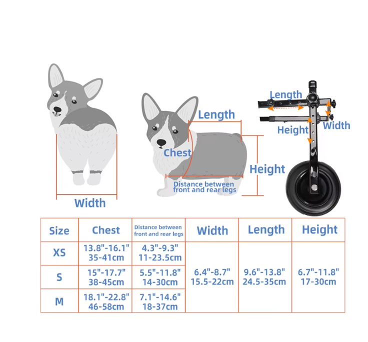 Small pet wheelchair with mobility harness for cat recovery assistance