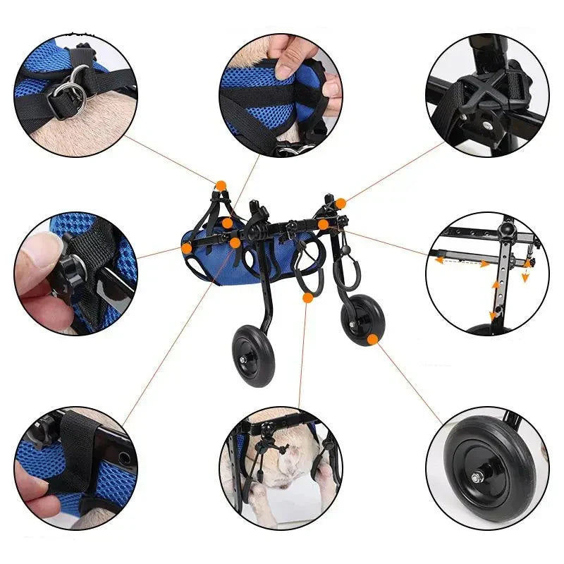 Dog in a pet wheelchair, showcasing improved mobility and support