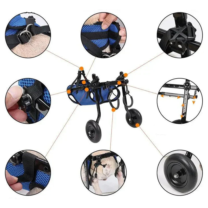 Dog in a pet wheelchair, showcasing improved mobility and support