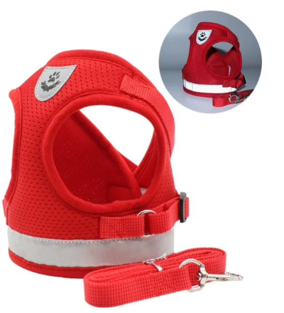 Comfortable blue adjustable cat harness with leash, essential pet supplies for safe kitten adventures.