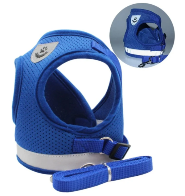 Reflective pet cat harness with leash, enhancing visibility for outdoor walking and animal safety.