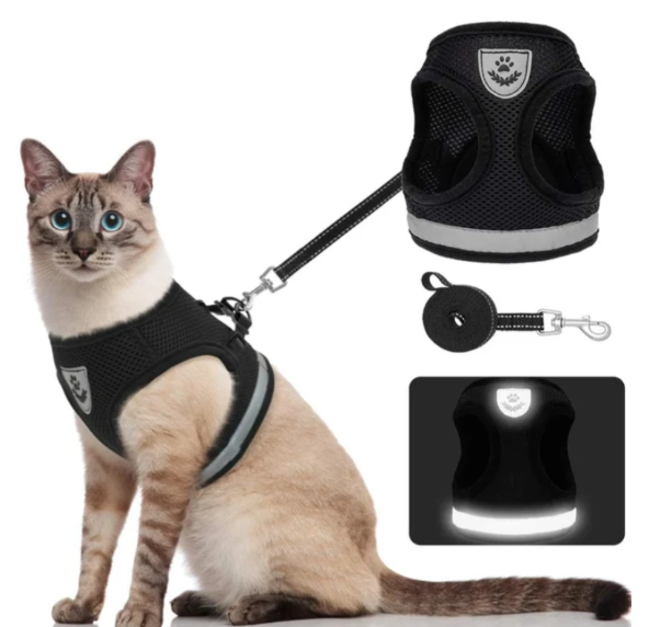 Breathable mesh cat harness with durable leash, ideal for secure and comfortable pet strolling.