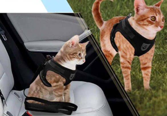 Front-clip cat harness with leash, designed for better control during pet walking and training.