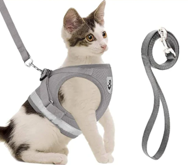 Lightweight green cat harness and leash combo, a practical animal accessory for daily use.