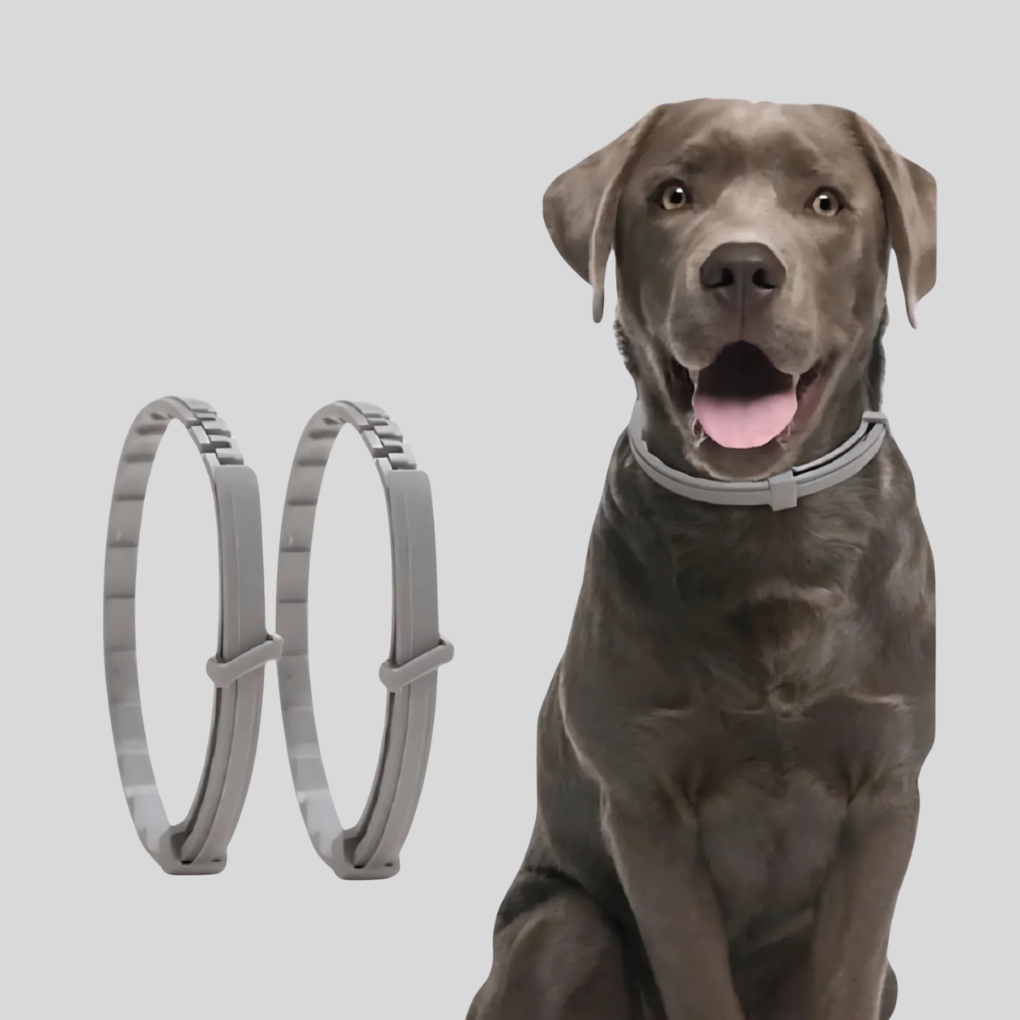 Adjustable plant-based anti-tick collar for dogs & cats, natural outdoor pet care, New4 safetick