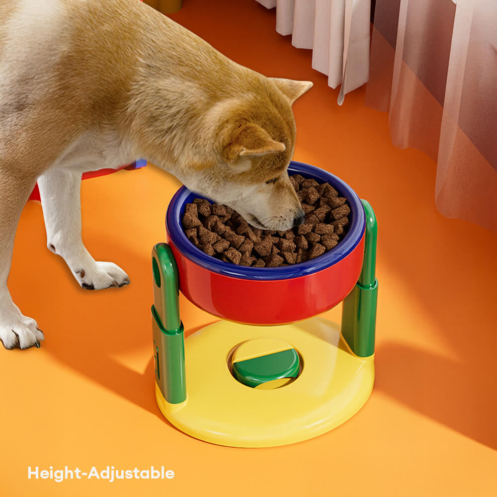 Two stainless steel bowls in an adjustable raised pet feeder, ideal for small to large pets.