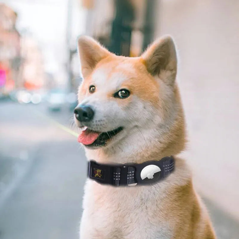 Adjustable reflective dog collar for enhanced pet safety and visibility on walks, made of durable nylon.