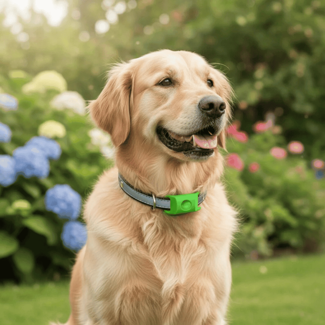 Waterproof pet collar offering flea and tick repellent for dogs and cats. Made from silicone.