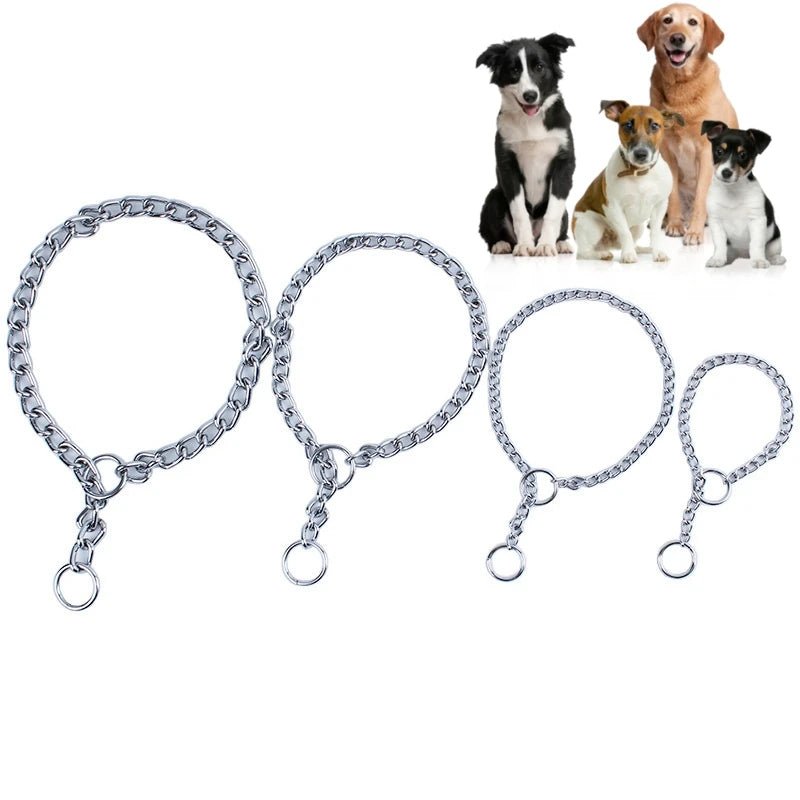 Close-up of a sturdy stainless steel dog training collar, an adjustable choke chain for canine control.