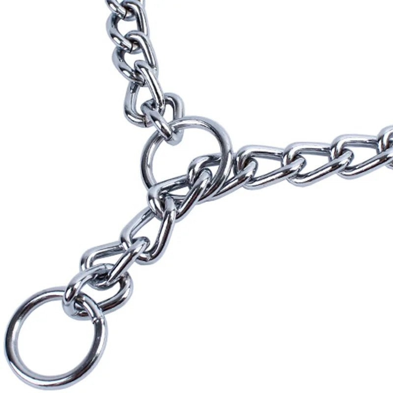 Silver stainless steel slip chain dog collar, an adjustable training aid for obedience and control.
