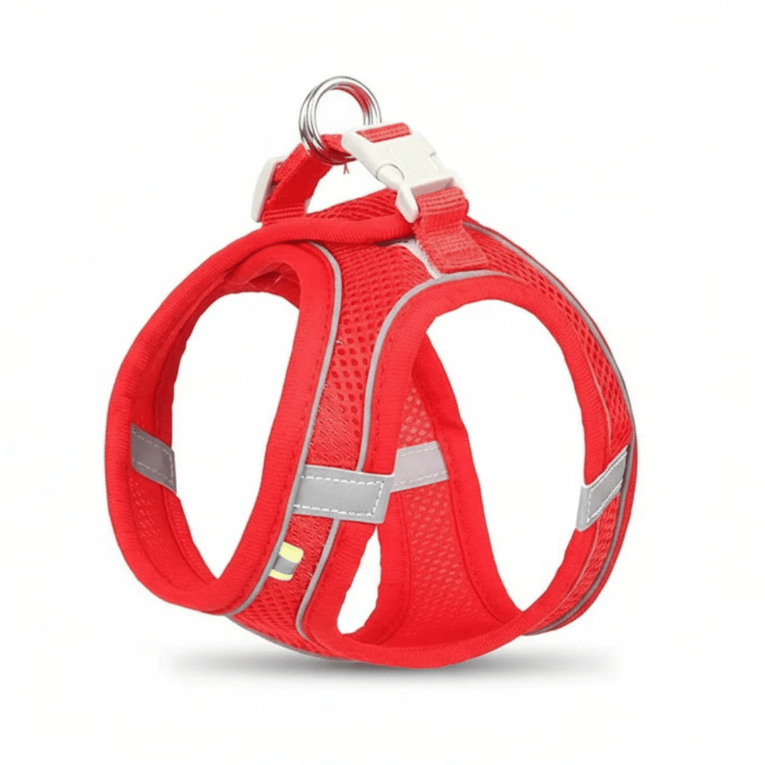 Pet accessories: Yellow adjustable dog harness on a white background, ready to use
