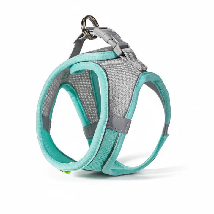 Comfortable and breathable pet harness, ideal for small dogs and cats, fully adjustable