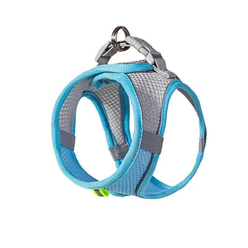 Cat wearing a pink breathable pet harness, highlighting the lightweight and humane design
