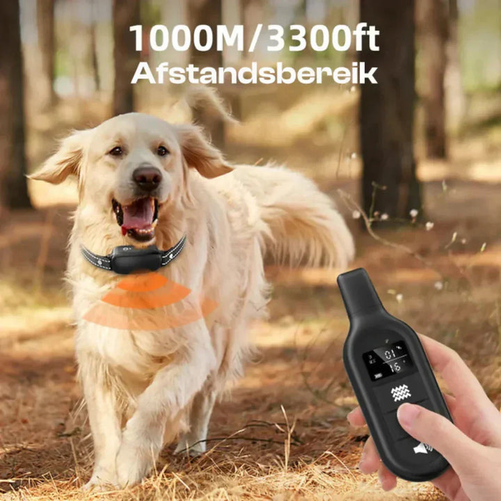 Electronic dog training collar & remote for outdoor behavior training, promoting obedience in all dog breeds.