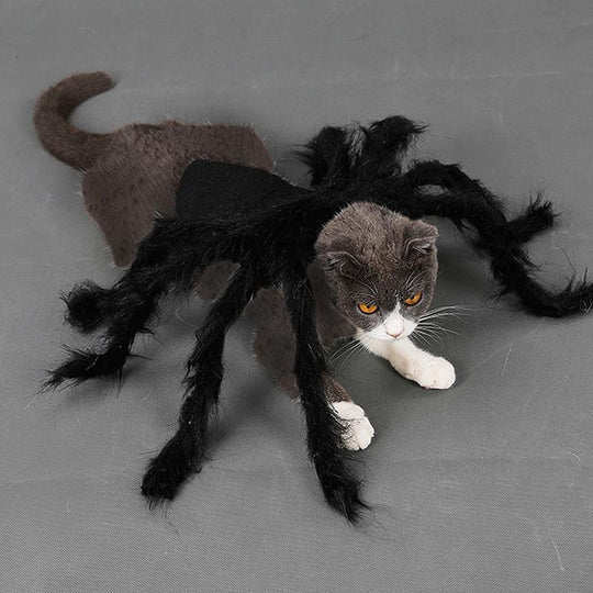 Small dog in a fun spider Halloween costume with eight bendable legs, perfect for spooky pet dress up.