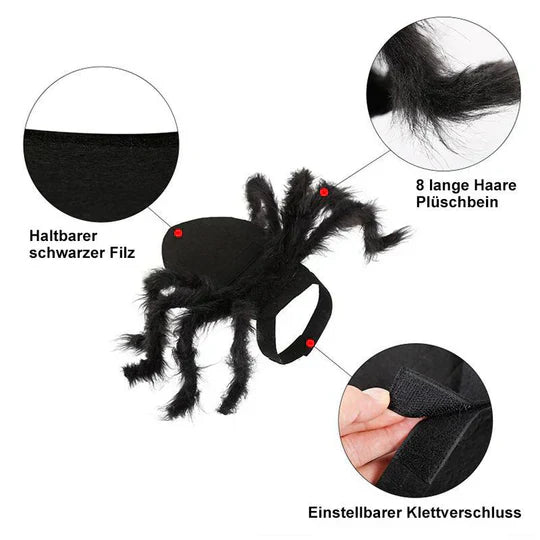 Close-up of a spider pet costume on a cat, featuring realistic fuzzy legs, ideal for Halloween.