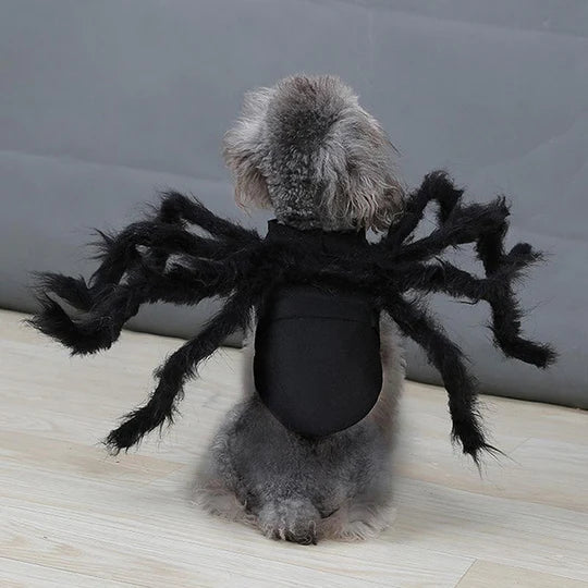 Pet spider costume showing adjustable straps and eight plush legs, suitable for both dogs and cats.