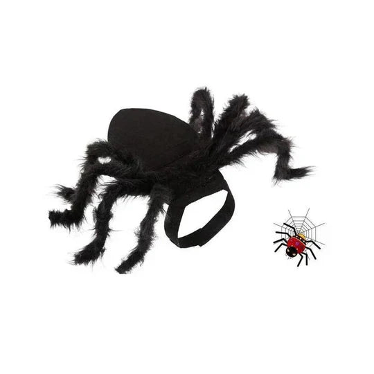 Dog in a humorous spider pet costume, black with eight legs, celebrating Halloween in spooky style.