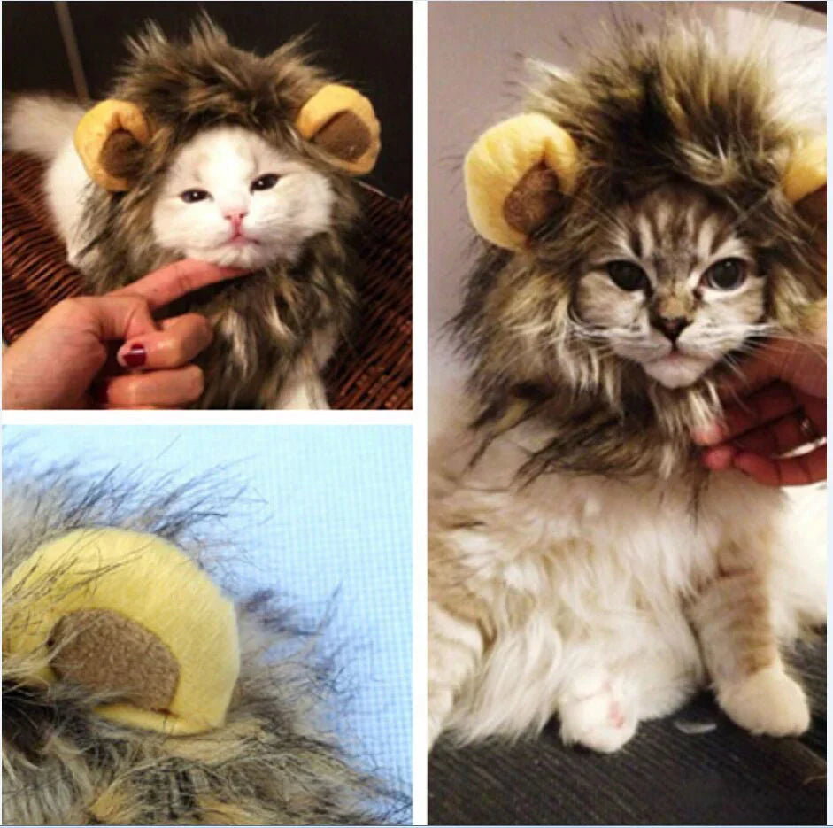 Ginger cat confidently sporting a soft, brown lion mane costume, a fun pet photo prop.