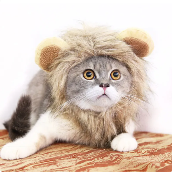Adorable cat wearing a realistic lion's mane costume with ears for a playful pet dress-up.