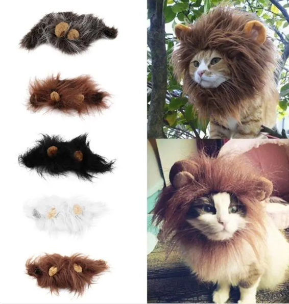 Fluffy cat with a comfortable lion mane pet accessory, perfect for funny pet photos.
