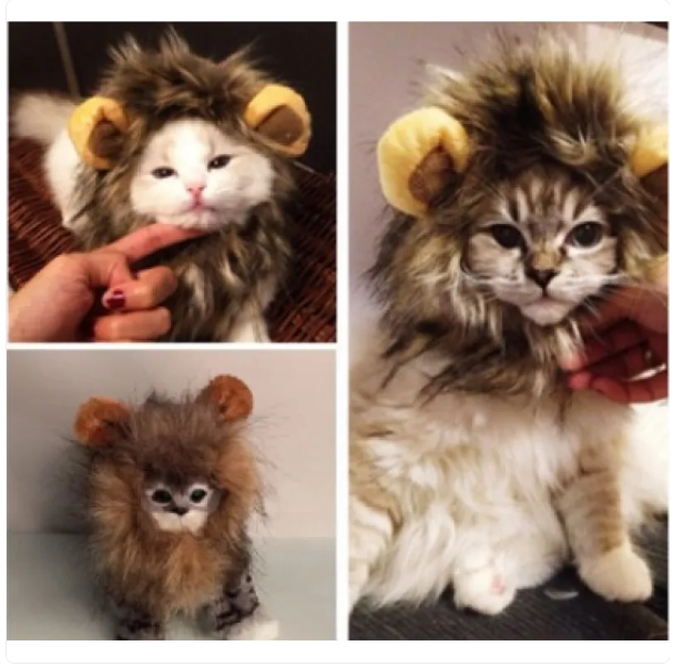 Cute cat in a pet dressing up lion's mane costume, featuring realistic ears and soft fabric.
