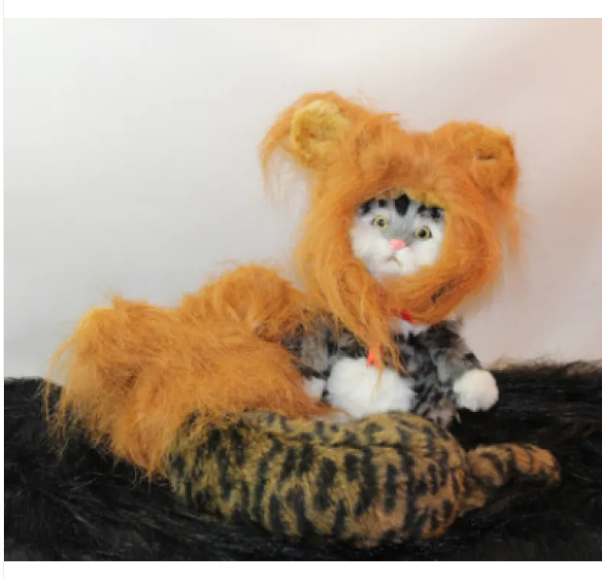 Orange cat wearing a hilarious lion's mane cat costume, ideal as a unique photo prop.