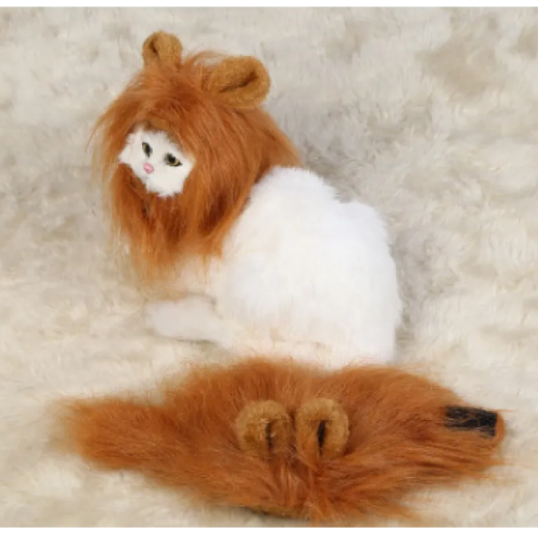 Pet cat showcasing a fun lion's mane costume with ears, great for Halloween cat dress-up.
