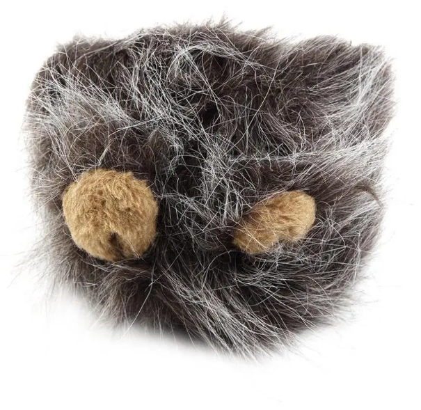 Black cat wearing a vibrant lion's mane costume with ears, excellent for cat dress-up events.
