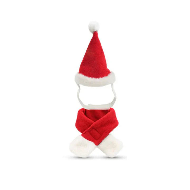 Happy pet wearing the Christmas hat and scarf, perfect animal fashion for festive occasions