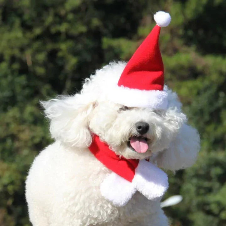 Close-up of a pet Christmas hat with white pom-pom, soft fabric for cats and dogs