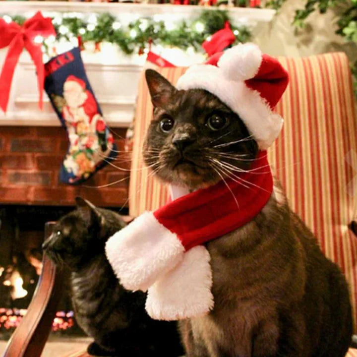 Pet model showcasing the Christmas hat and scarf set, great for holiday photoshoots