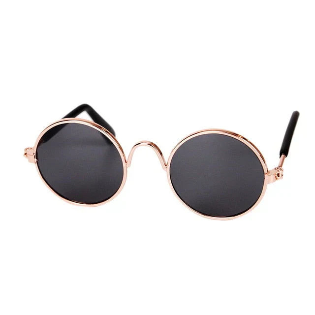 Chihuahua in classic black round pet eye-wear, a cool and stylish pet fashion choice.