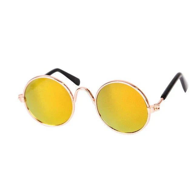Smiling dog in playful round pet eye-wear, perfect for pet photos and fun activities.