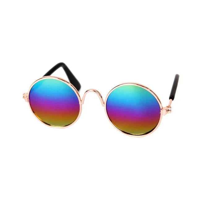 Cute kitten wearing pink round pet eyewear, a charming animal accessory for play.