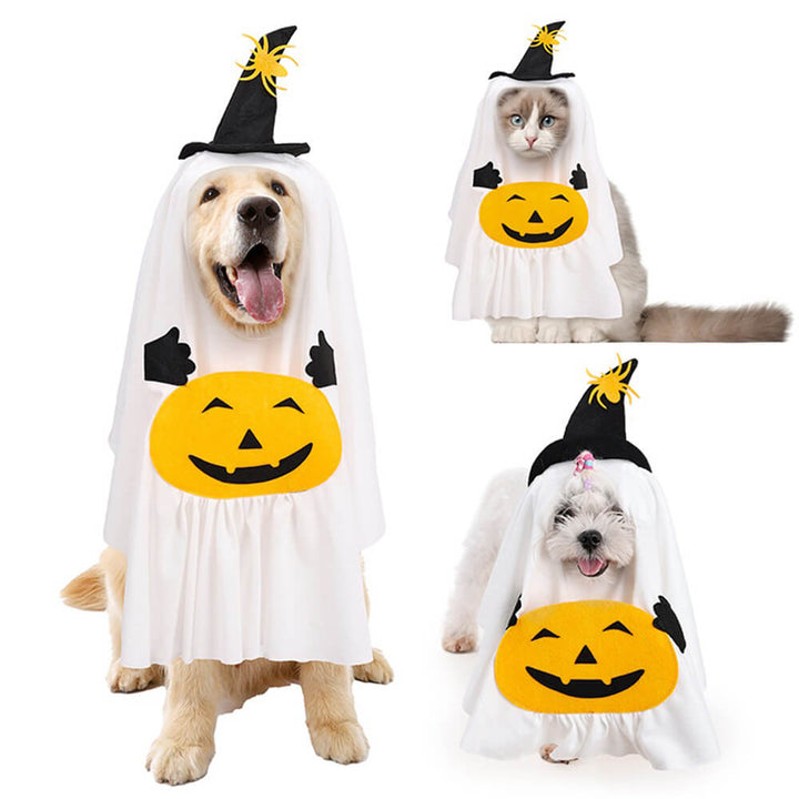 Adorable dog in a cute pumpkin pet costume for Halloween, with green stem detail