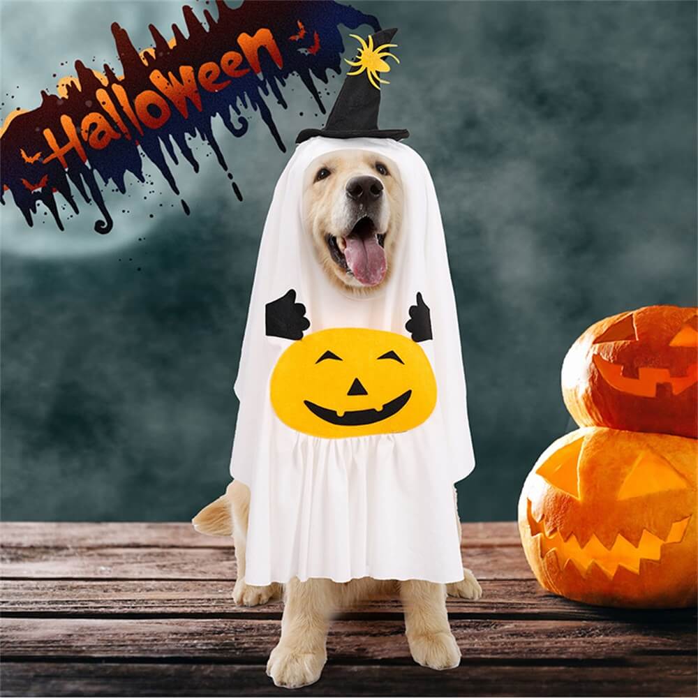 Unisex pet pumpkin costume with adjustable straps, ideal for dogs and cats during Halloween