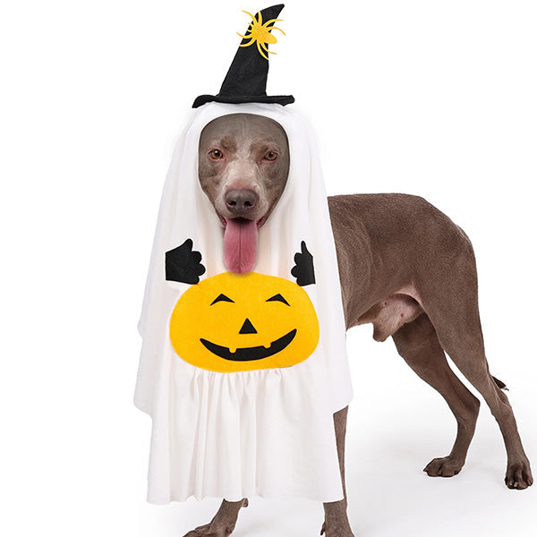 White ghost pet outfit for Halloween, featuring a playful design for spooky celebrations