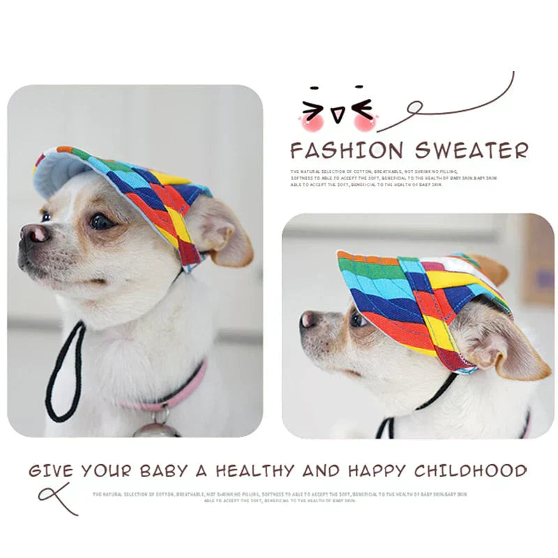 A pet's eye view wearing the Pet Sun Protection Baseball Cap, looking ready for a walk or hike