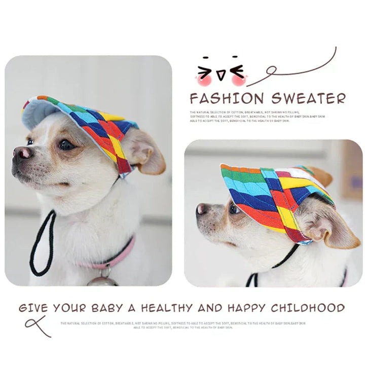 A pet's eye view wearing the Pet Sun Protection Baseball Cap, looking ready for a walk or hike