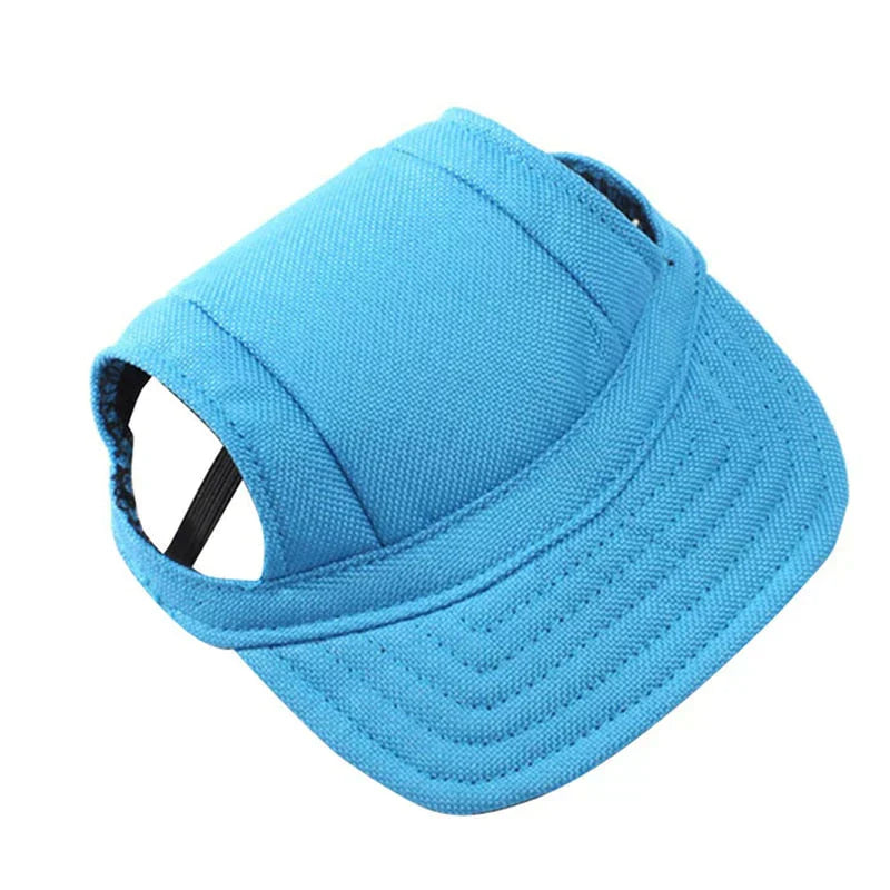 Two pets, one in a red, one in a blue Unisex Pet Sun Protection Baseball Cap, enjoying the park