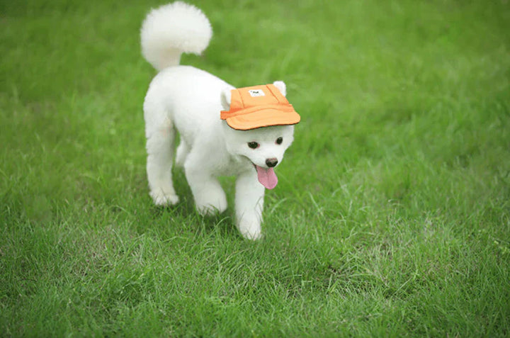 Side view of a dog wearing a pink durable suncap, showing ear holes and secure fit for UV protection