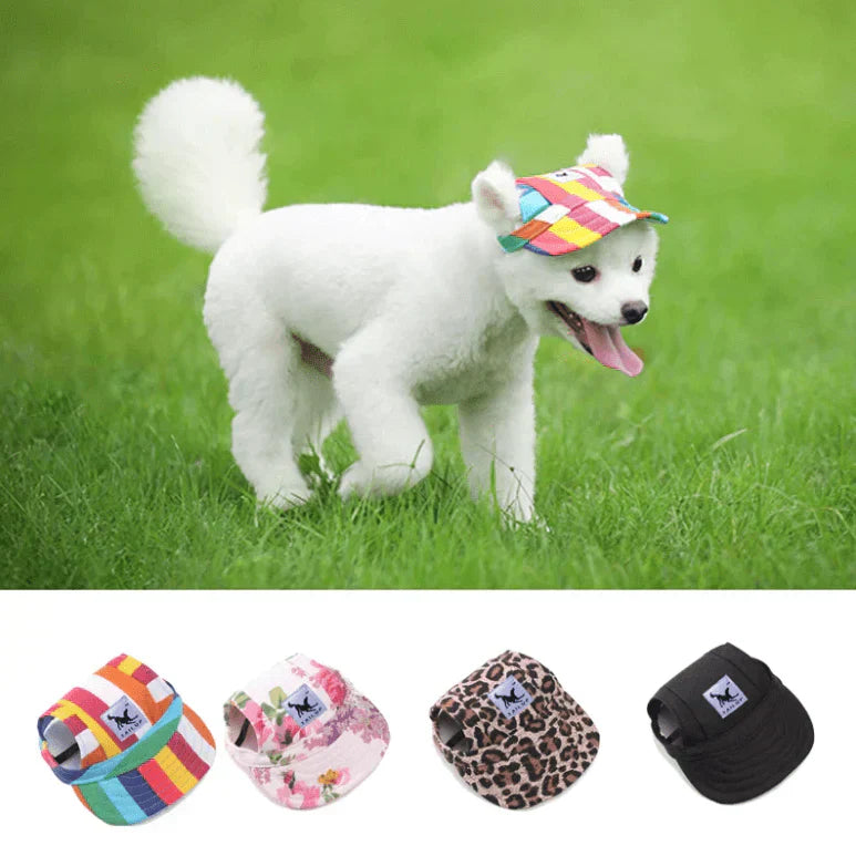 Happy pet wearing an adjustable Sun Protection Baseball Cap, enjoying a sunny day outdoors