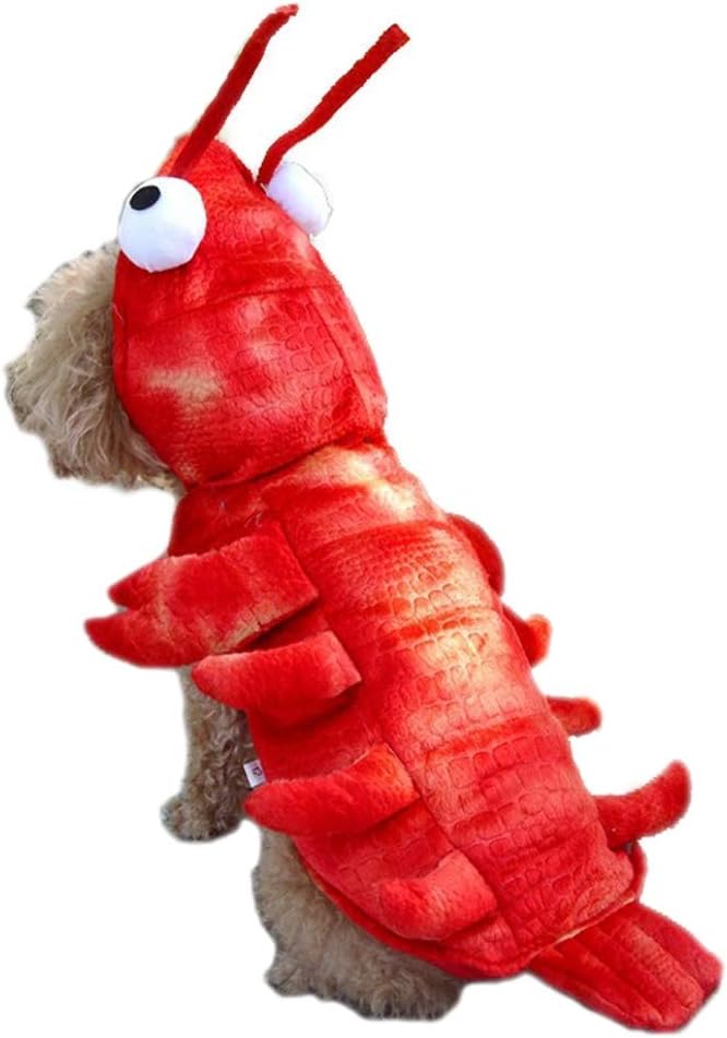 Adorable dog wearing a red lobster costume, perfect for Halloween pet parties and dress-up fun