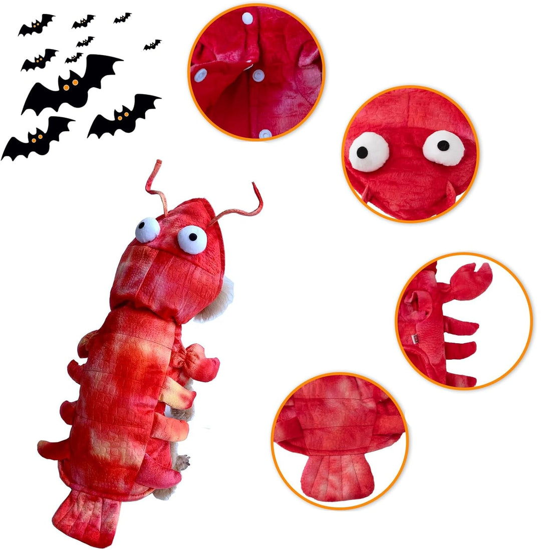 Cute dog in a funny red lobster outfit, ideal pet apparel for Halloween or themed animal costume parties