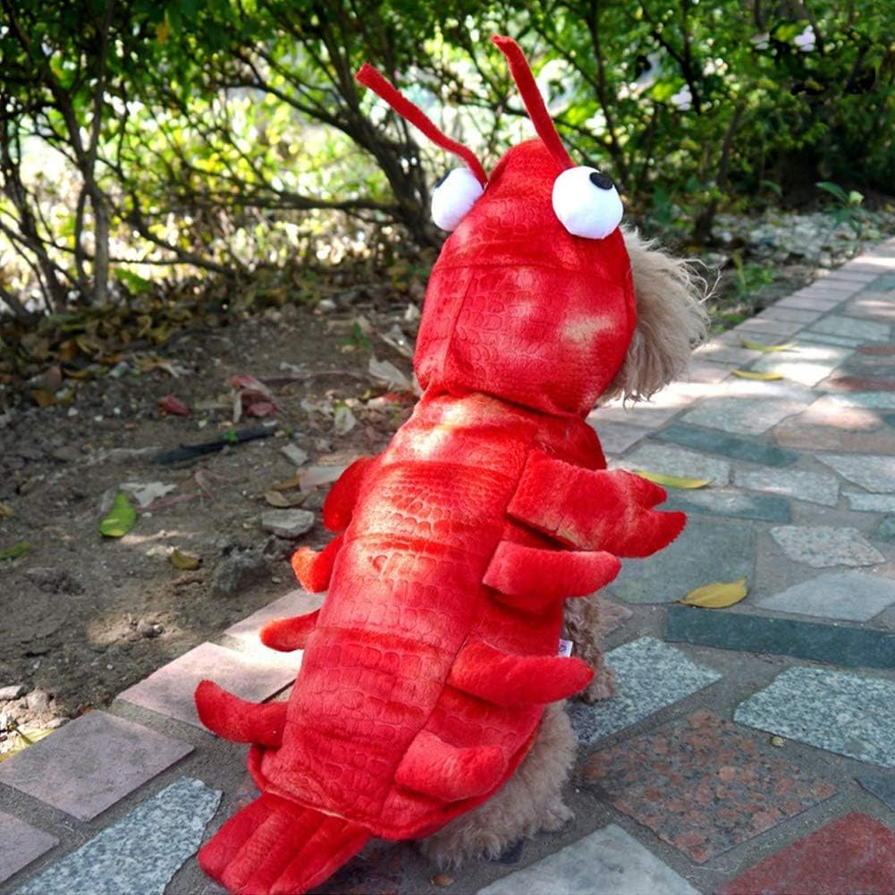 Dog dressed as a bright red lobster, a humorous pet costume for Halloween, capturing fun party moments